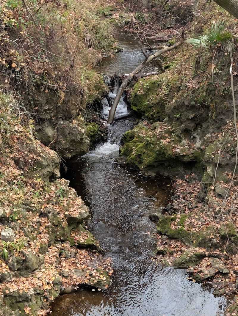 Camp Branch / Disappearing Creek (White Springs)