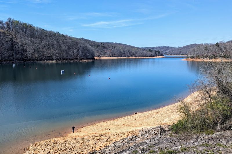 Norris Dam State Park Beach (Rocky Top)