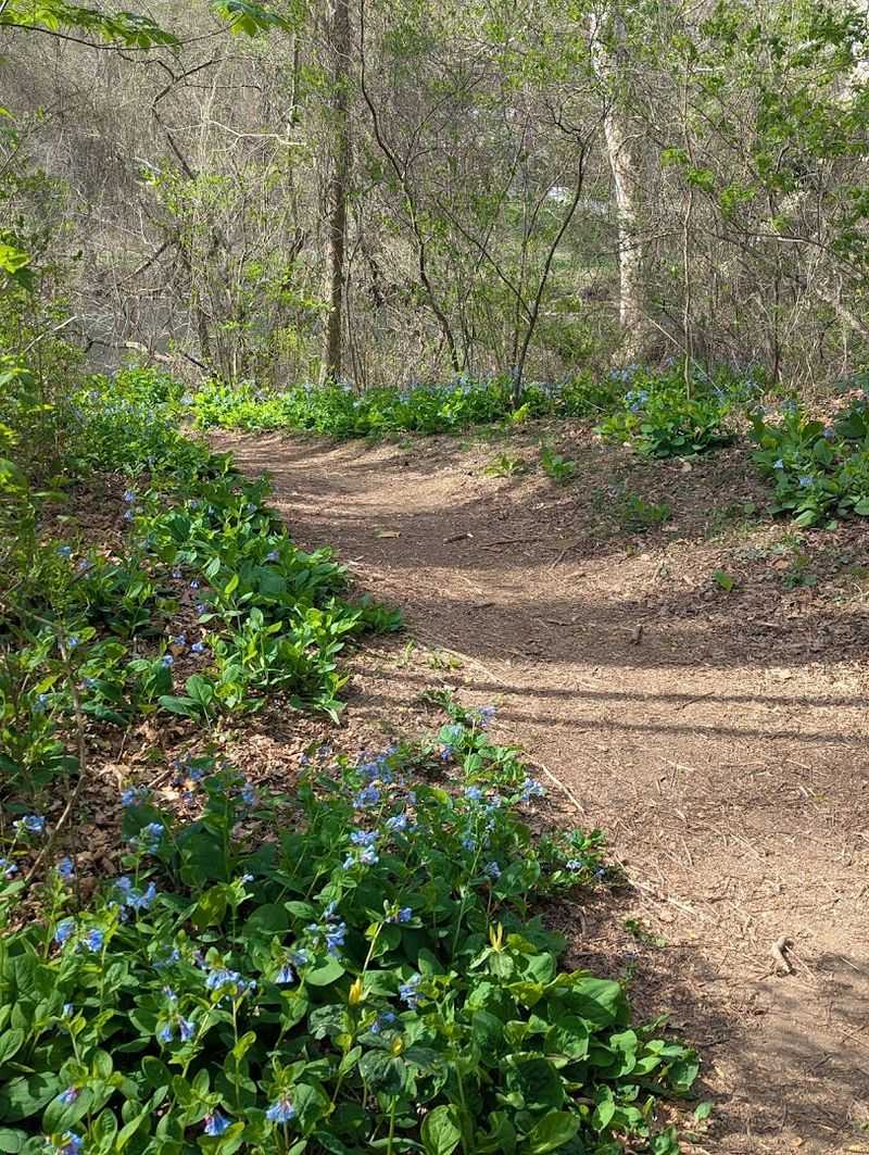 Gee Creek Campground &mdash; Delano