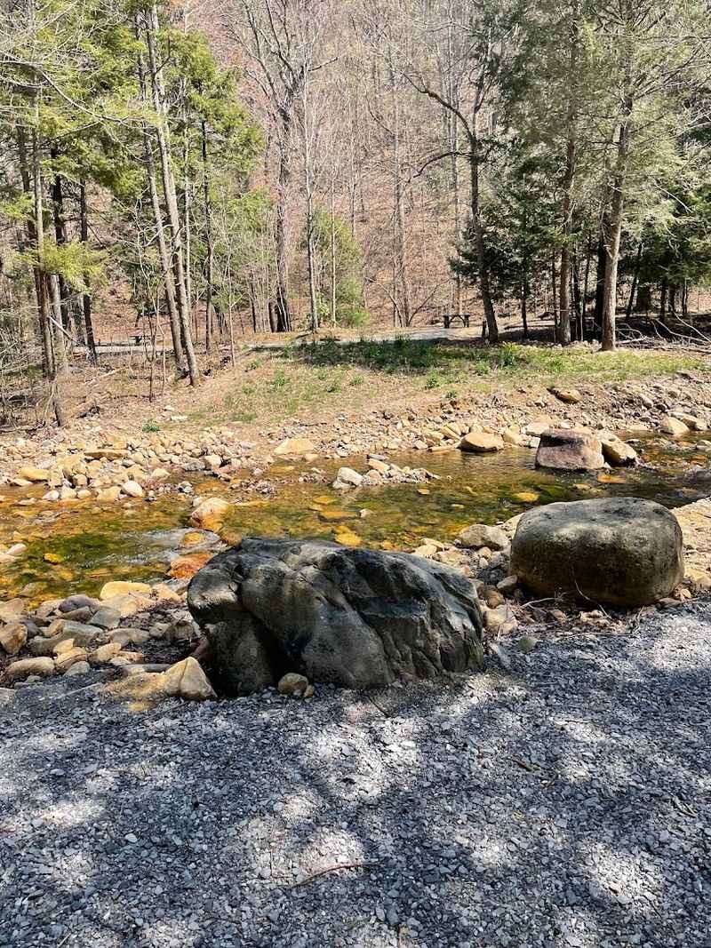 Horse Creek Recreation Area &mdash; Chuckey