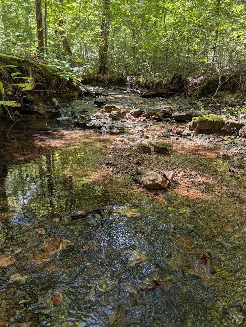 Why This Park Stands Out From Every Other State Park in Tennessee
