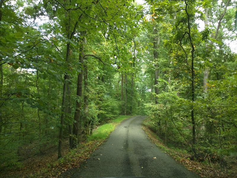 Meeman-Shelby Forest State Park, Millington