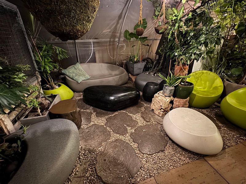 What Makes the Space Feel So Unique