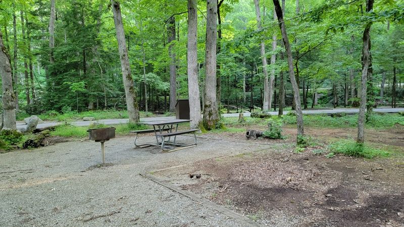 Cades Cove Picnic Area &mdash; Townsend