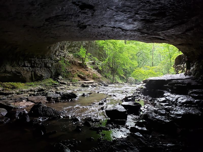 Buggytop Cave (Sherwood)