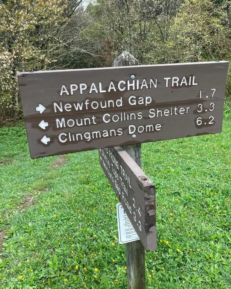 Where the Pilgrimage Takes Place and What to Know Before You Go