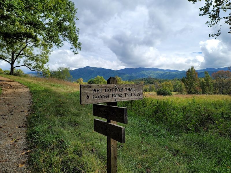 Why Great Smoky Mountains Belongs on Every Tennessee Travel Bucket List