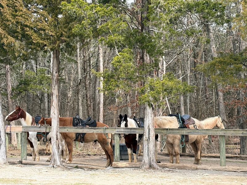 The Stables at Cedars of Lebanon &mdash; Lebanon