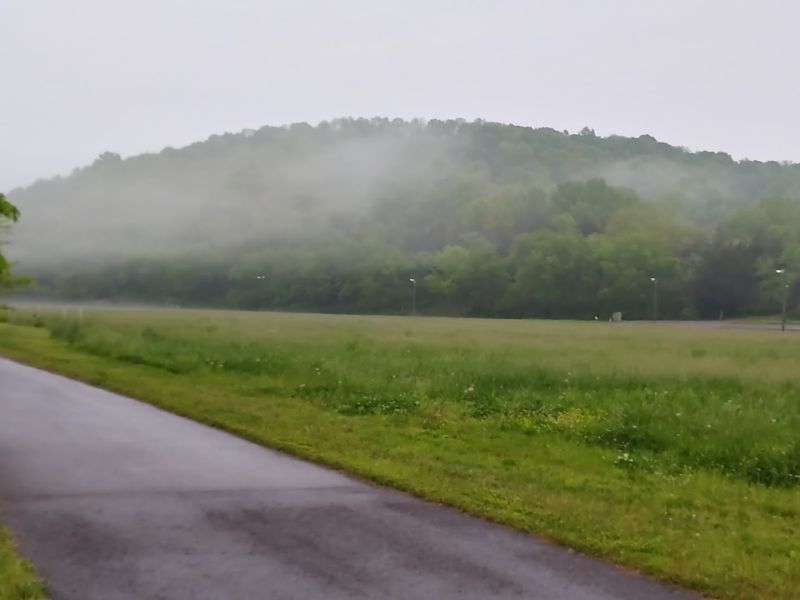 Why This Whites Creek Spot Feels Different From Your Average Nature Trail