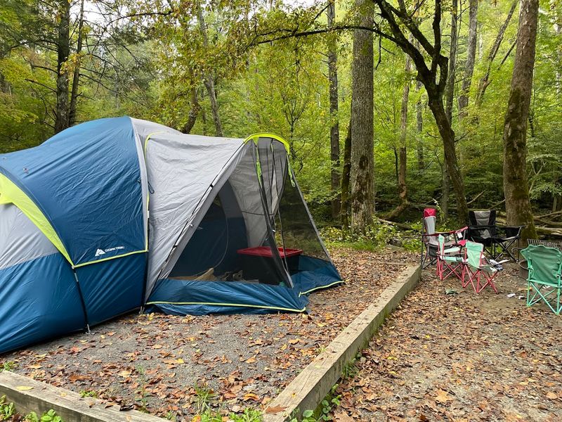Try for the synchronous fireflies at Elkmont in the Smokies