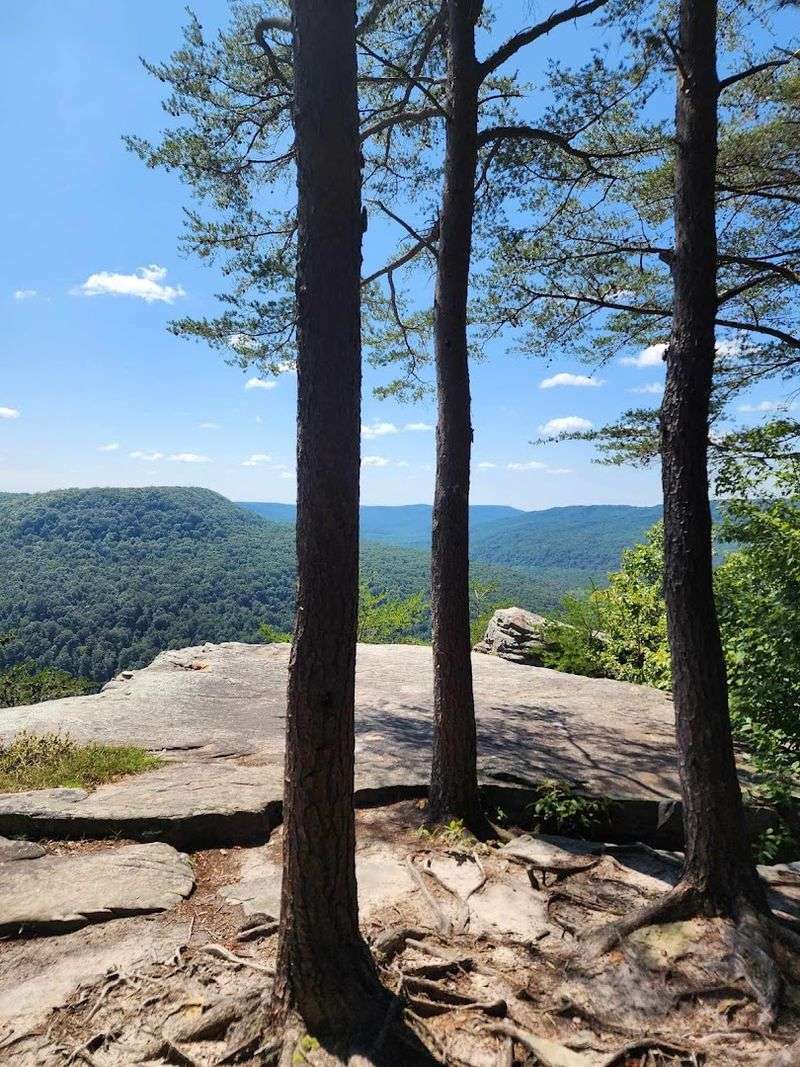 Welch's Point, Scott's Gulf Wilderness State Park
