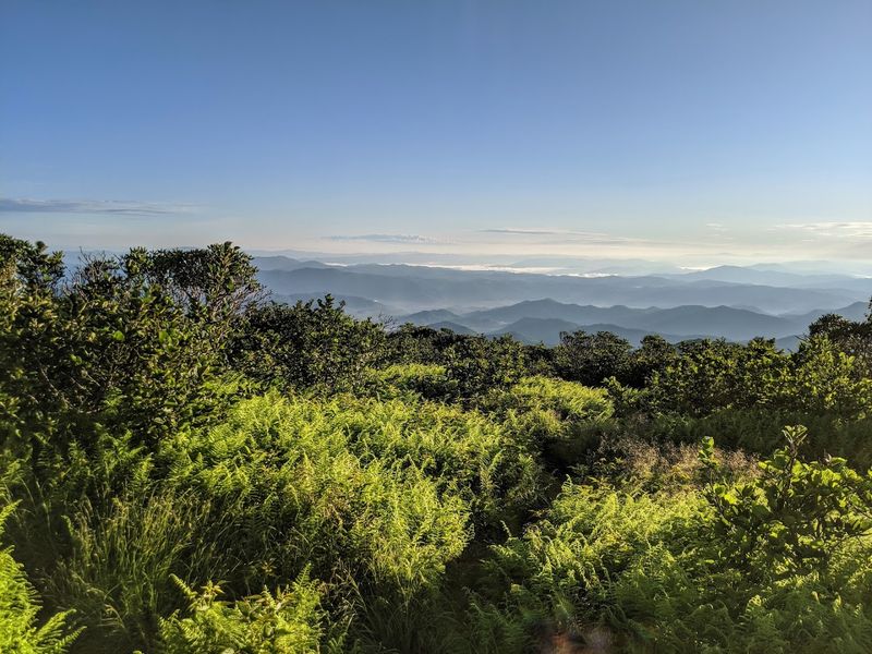 Appalachian Trail (Tennessee sections)