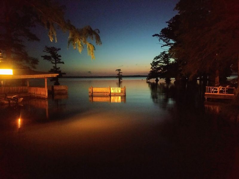 Why Reelfoot Lake still feels wild, eerie, and completely unforgettable