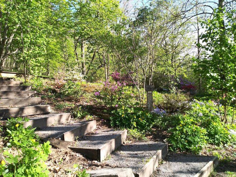 What to Know Before You Visit This Oak Ridge Escape