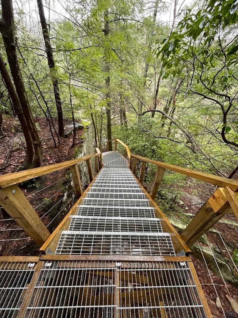 The Scenic Walk That Makes the Journey Part of the Experience