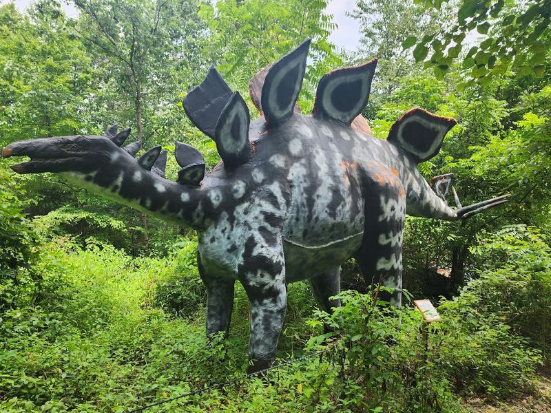 Backyard Terrors Dinosaur Park &mdash; Bluff City