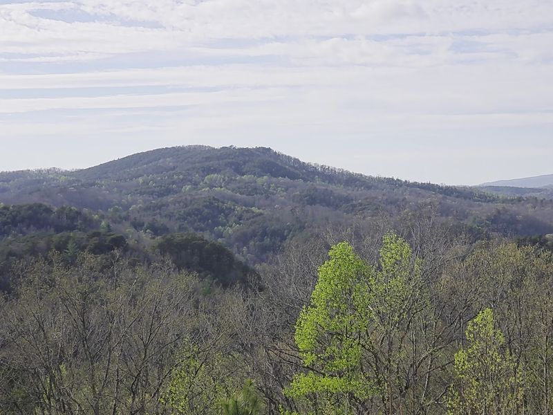 Cherokee National Forest