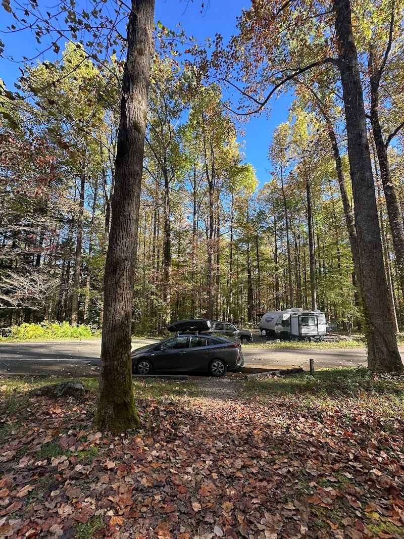 Cosby Campground &mdash; Cosby