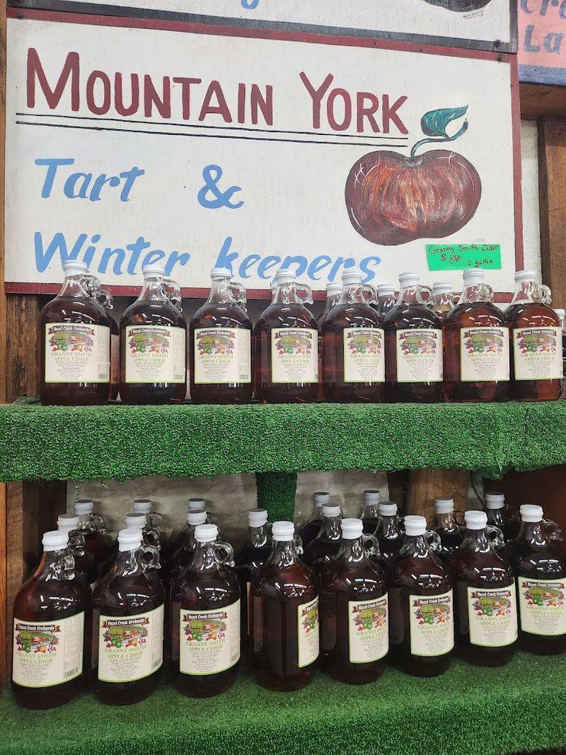 Why It's Such a Fun Stop on a Smoky Mountains Trip