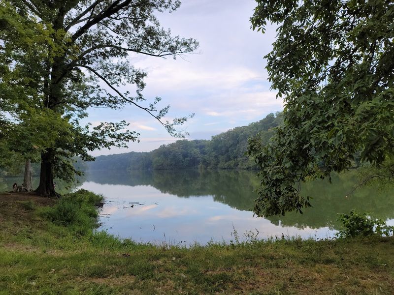 Meeman-Shelby Forest State Park - Millington