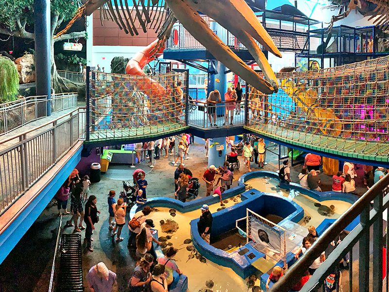 Ripley&rsquo;s Aquarium of the Smokies &mdash; Gatlinburg
