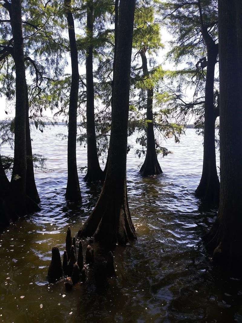 How the Mississippi helped create one of Tennessee&rsquo;s strangest places