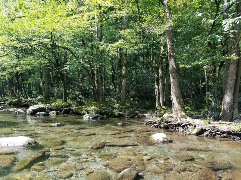 Everything You Should Pack Before You Go