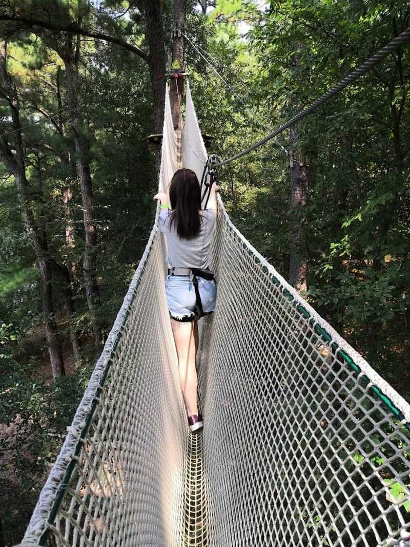 Go Ape Zipline & Adventure Park - Memphis