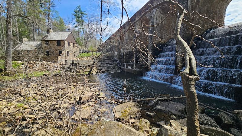 Cumberland Mountain State Park