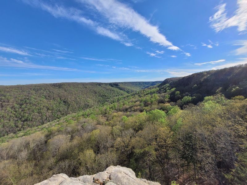 Savage Gulf State Park