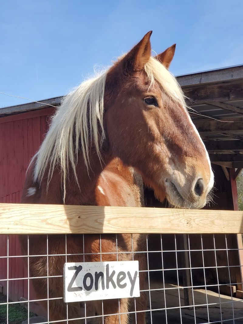 Everything to Know Before You Go