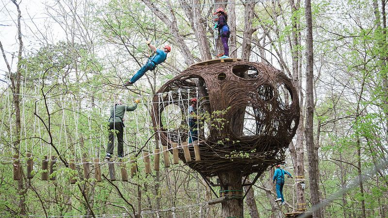 Navitat Knoxville - Knoxville