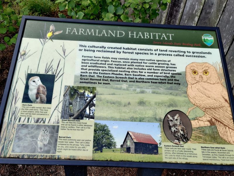 More Than 220 Bird Species Have Been Sighted Here