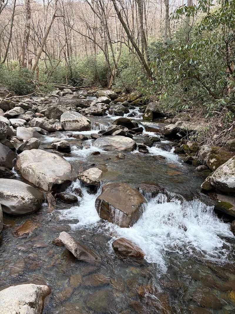 Porters Creek Trail (Gatlinburg)