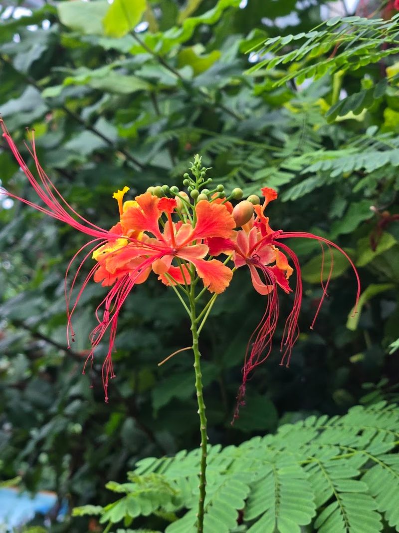 What Visitors Can See and Learn Along the Way