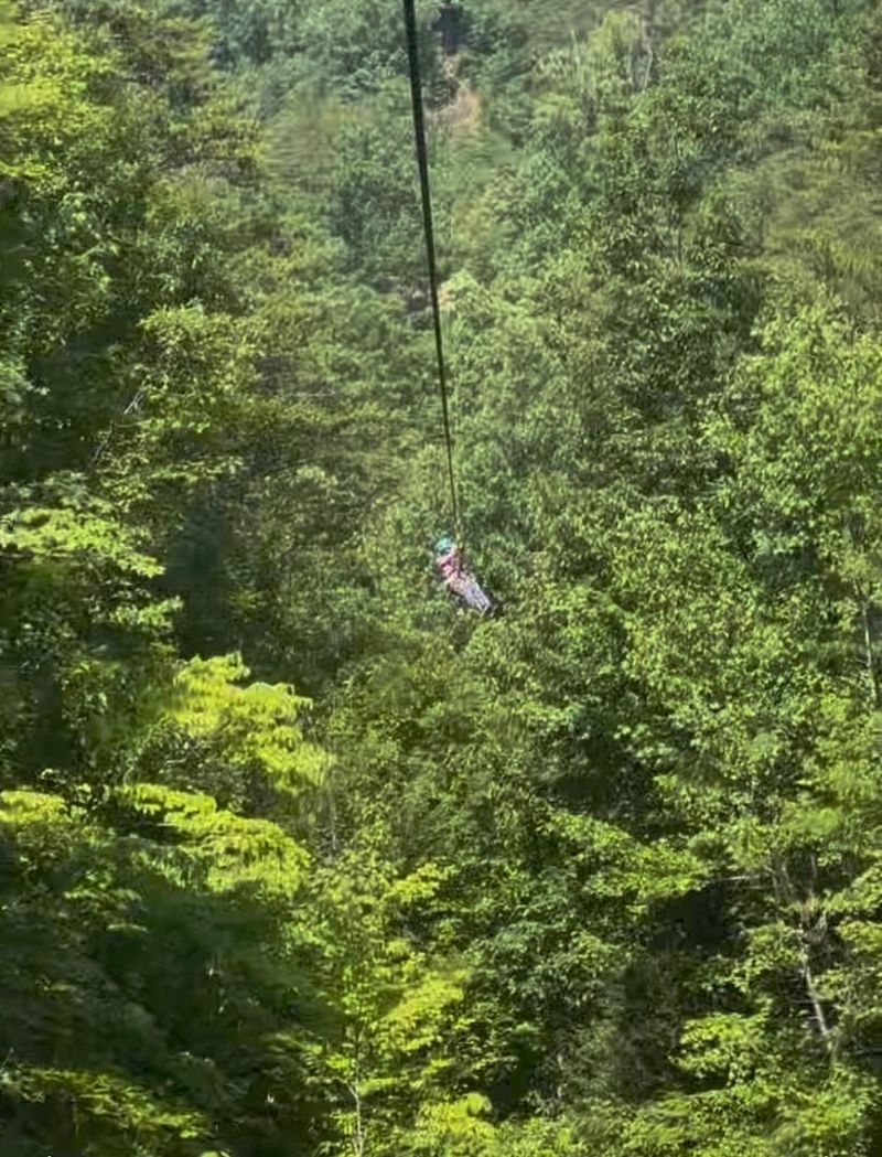Wears Valley Zipline Adventure - Sevierville