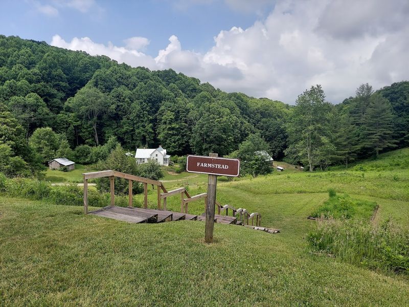 Roan Mountain State Park, Roan Mountain