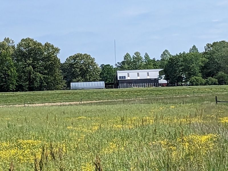 Along The Route, A Rare Glimpse Into Amish Country Comes Into View