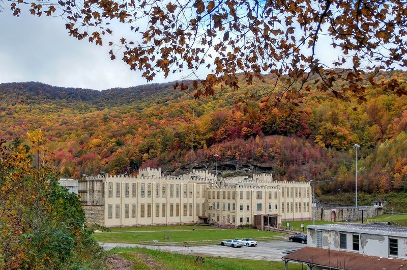 Catch mountain laurel season around Wartburg and Frozen Head