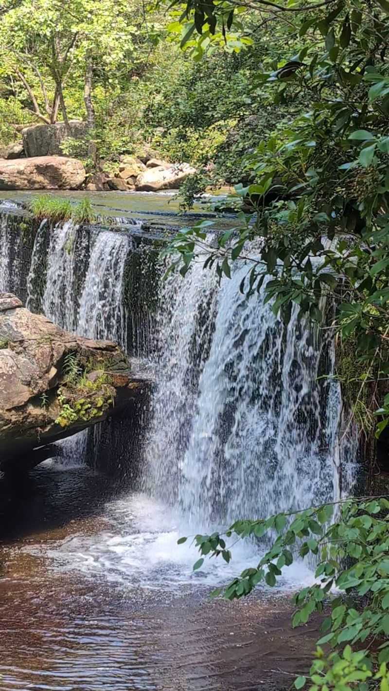The Best Reasons to Visit Greeter Falls in Altamont