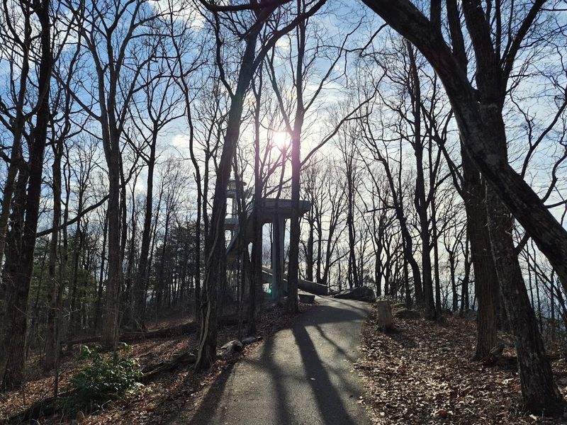 Look Rock Tower Trail (Maryville)