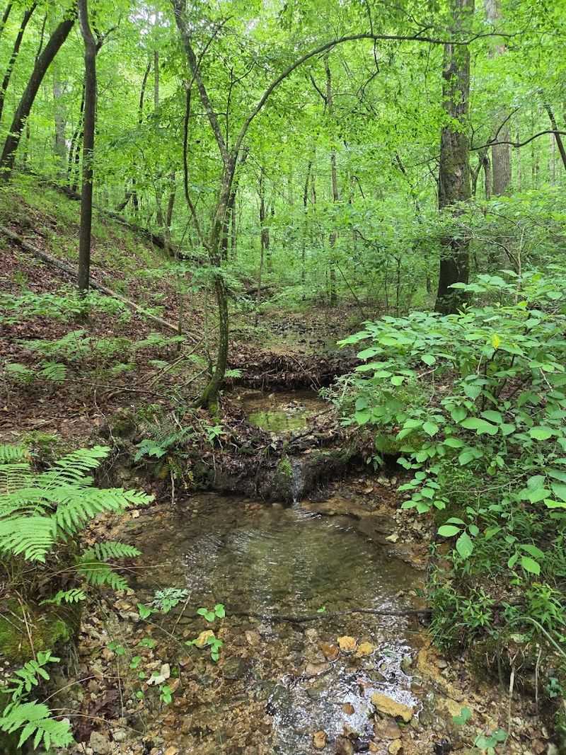 What To Expect on the 3.5-Mile Hiking Trail