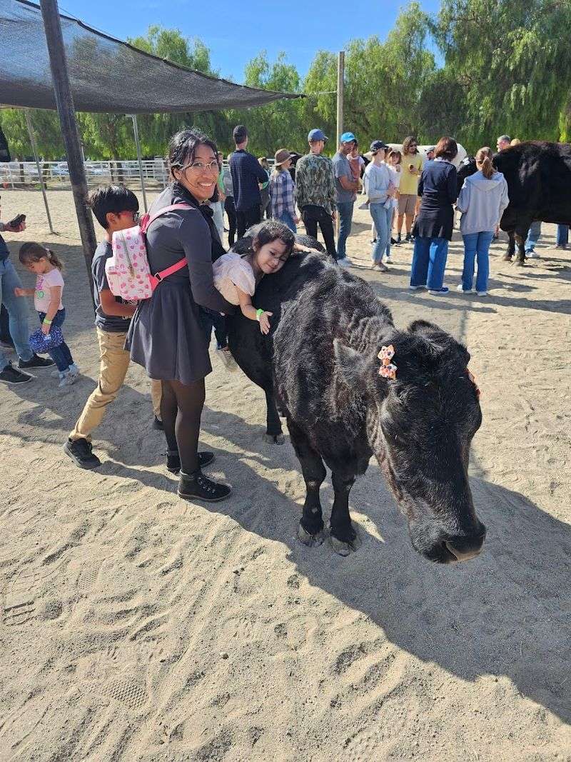 Why Families, Couples, and Animal Lovers Keep Coming Back