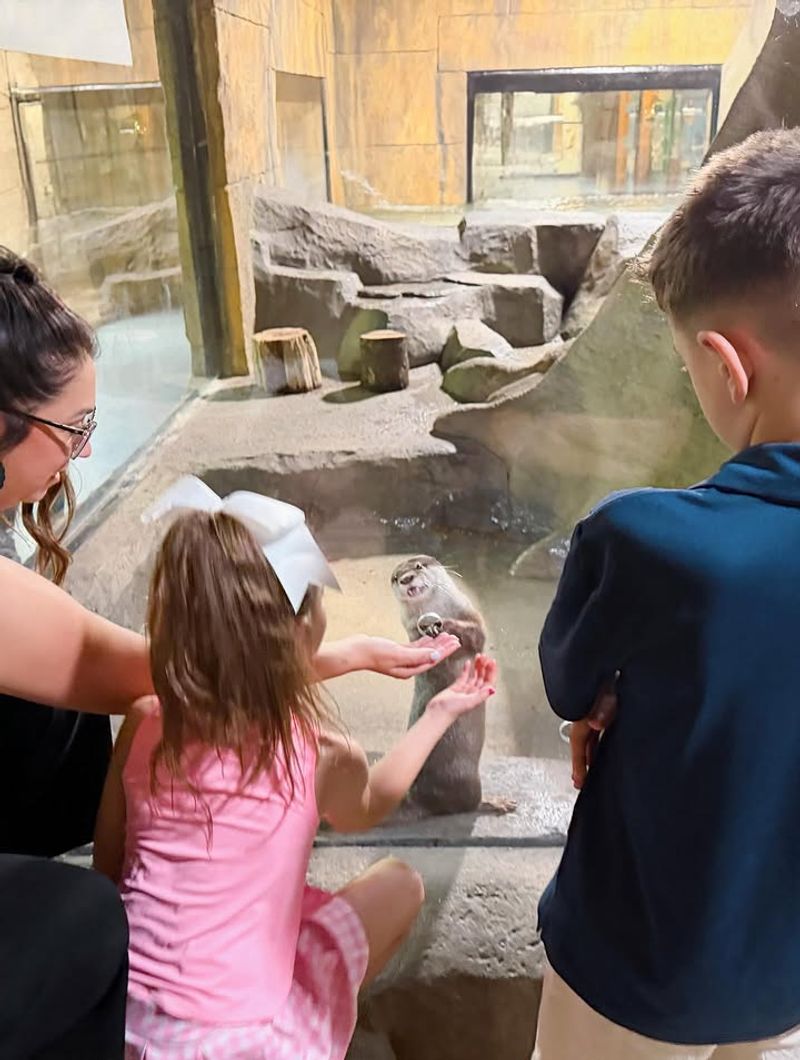 Why These Playful Animals Are a Hit With Visitors