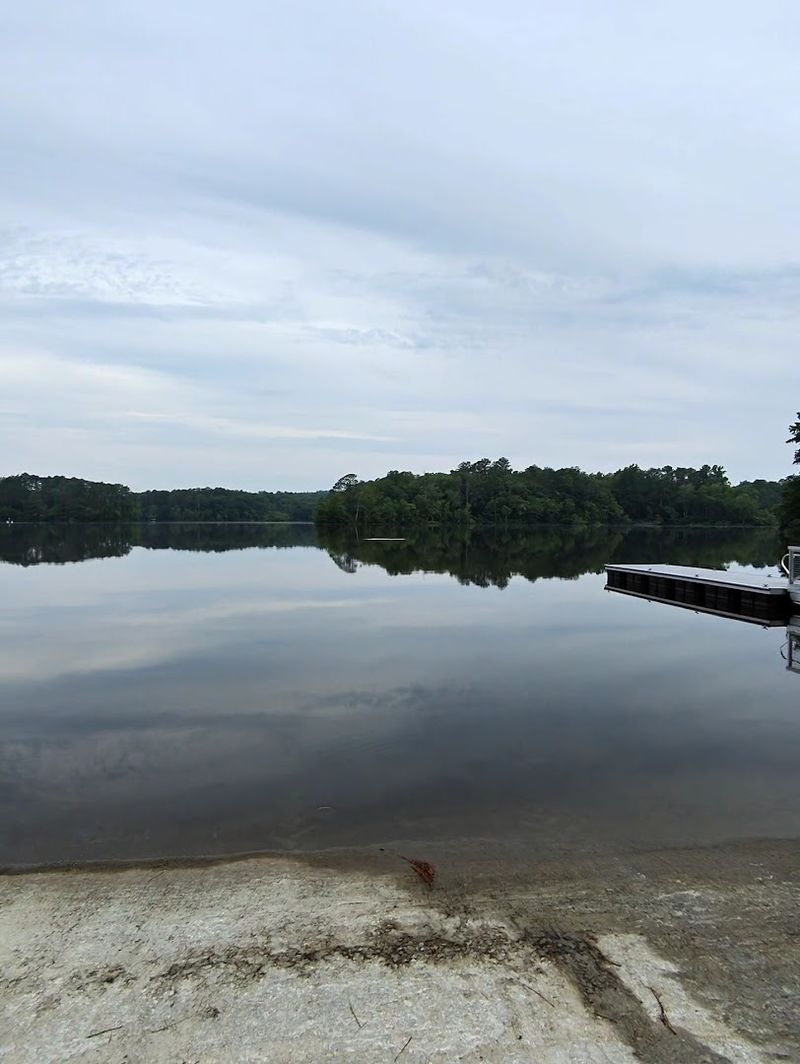 Cub Lake Swim Beach at Natchez Trace State Park (Wildersville)