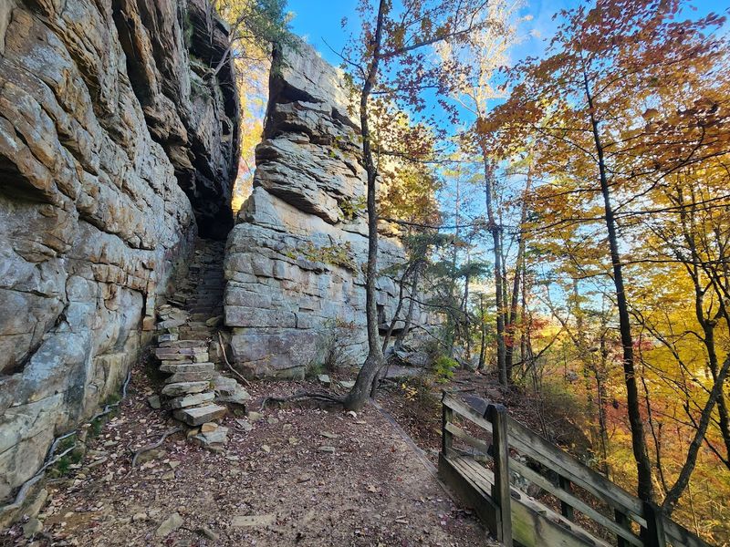 Savage Gulf trail network