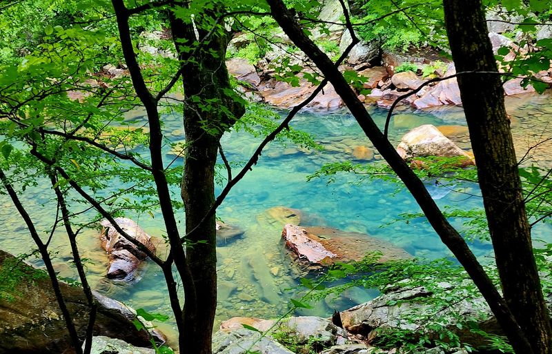 North Chickamauga Creek Gorge State Park