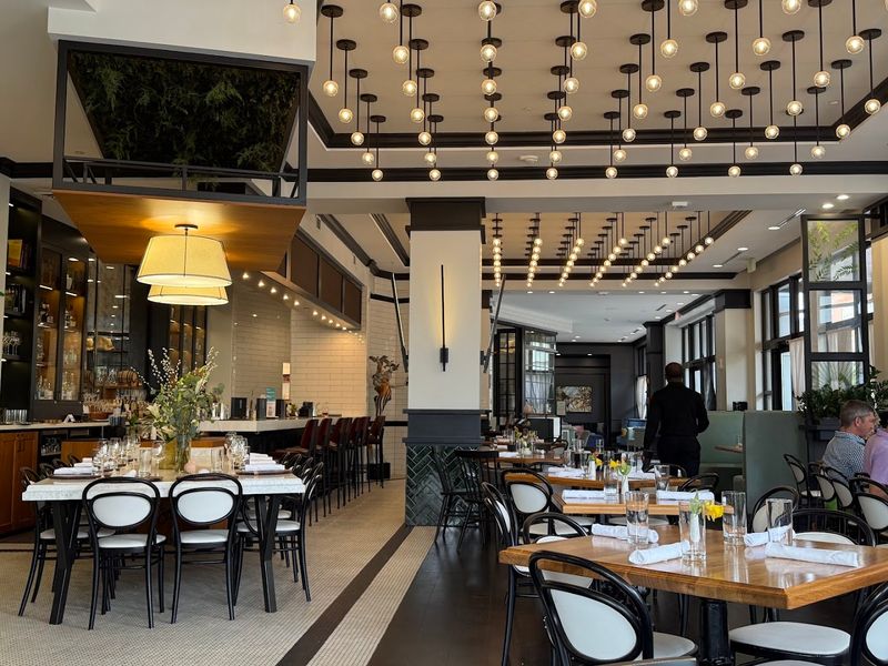 Whitebird - Chattanooga