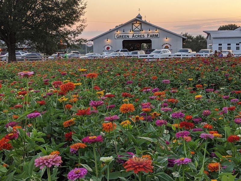 Green Acres Farm - Milan