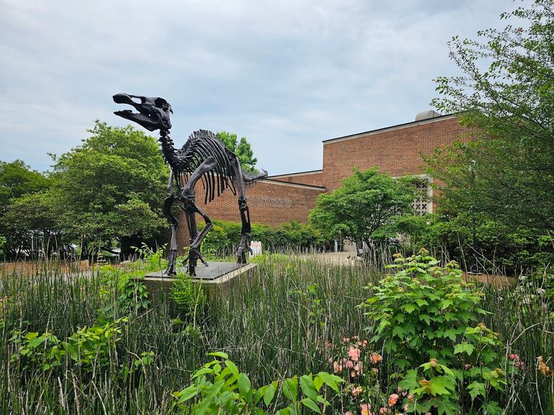 McClung Museum of Natural History & Culture &mdash; Knoxville